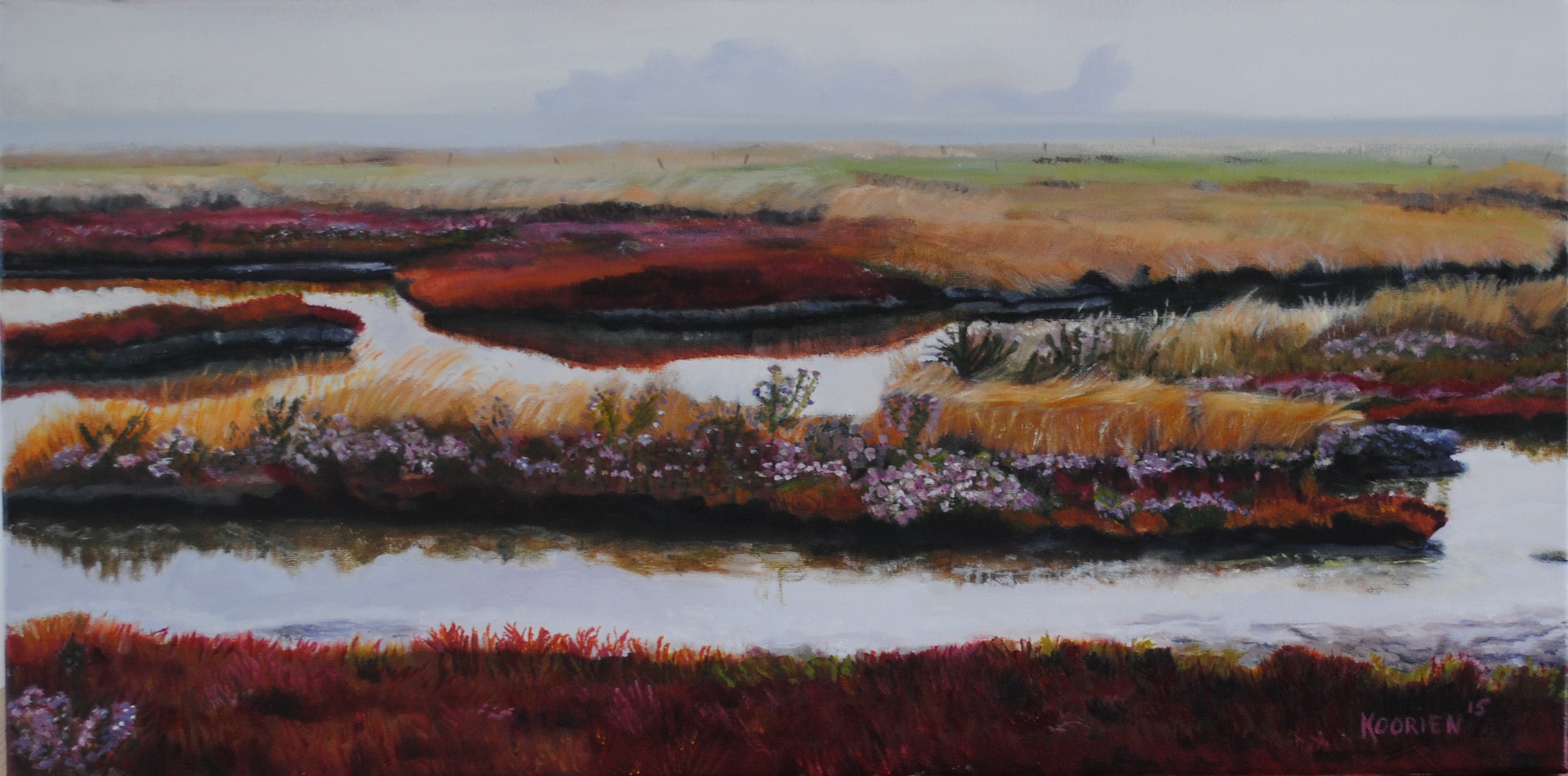  koorien-indian-summer-in-de-polder-van-schouwen